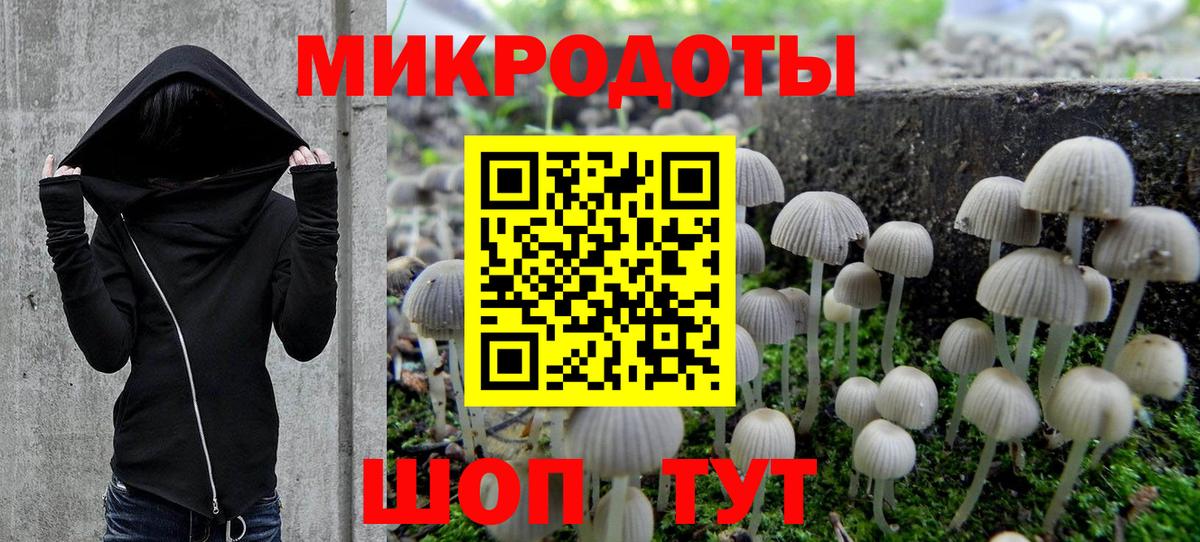 Псилоцибиновые грибы Magic Shrooms Тамбов